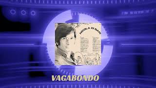 N.D. B .   Vagabondo - rework.