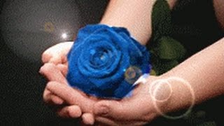 İnsanları Tanıdıkça Yalnızlık Güzelleşiyor..