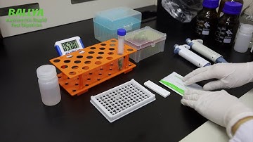 Avermectin Test - Detection of Avermectin in Green Kumquat - BALLYA