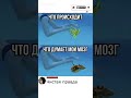 #смех #юмор #приколы #shorts