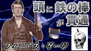 【ゆっくり解説】頭に鉄の棒が貫通した男-フィニアス・ゲージ　人間は脳の一部を破壊されるとどうなるのか？