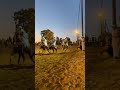 خيول ليبيا تعال و تعلم ركوب الخيل 