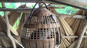 Anh Khuê / chim đa đa mồi VIP bác nào cần (gia5,500) 0985299986