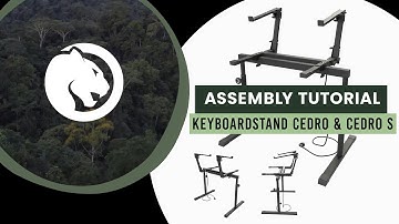 Blackpanthersystem Assembly Tutorial: Cedro / Cedro S Keyboard Stand (2 Levels)
