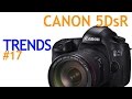 Canon 5Ds, 5DsR and L-Series Lens - Trends from the Trenches