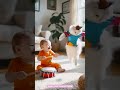 Baby Laughing Video рџ Јрџ Јрџ Јрџ Јрџ Јрџ Јрџ Јрџ Ј Shorts Laugh Baby Baby Laughing Video рџ Јрџ Јрџ Јрџ Јрџ Јрџ Јрџ Јрџ Ј Shorts Laugh Baby