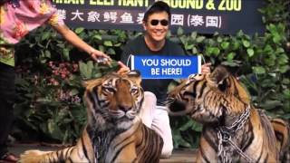 worldventures you should be here dreamtrips
