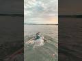 I need to go in the sea#Furry #Funny #Swimming #LateNightSwimming#therian #LiveYourLife #LoveMyLife.