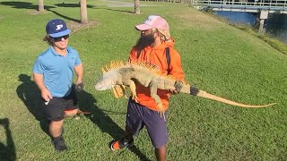 FISHING for LIZARDS!