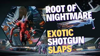Controversy of Nightmare. Raid thoughts and Exotic- Destiny 2