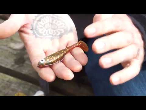 Abu Garcia Svartzonker McPerch Shad video