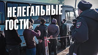 Вызов 02  Нелегальные гости