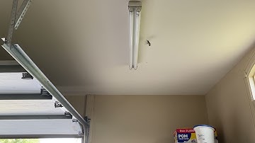 How to save a hummingbird in your garage