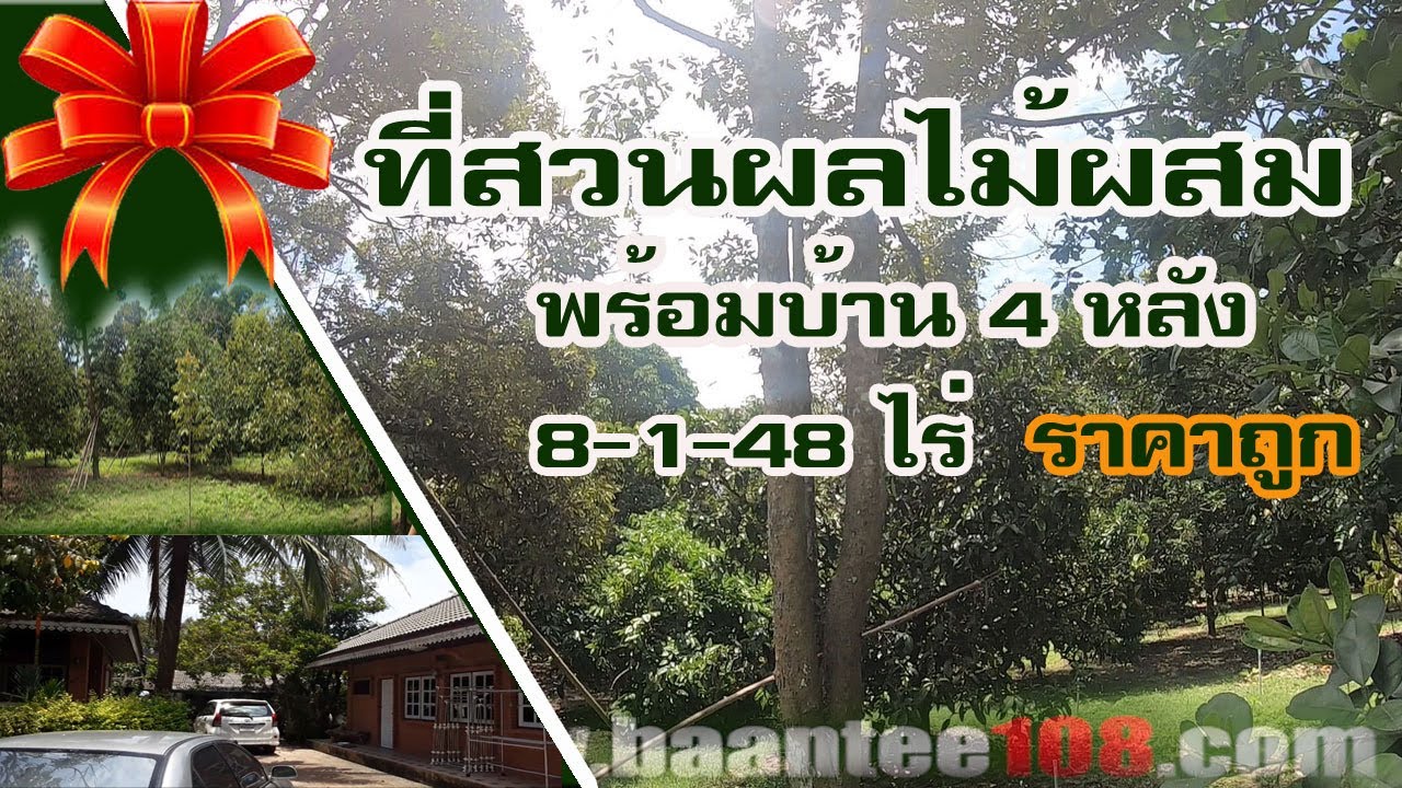 #สวนผลไม้ ขายพร้อมบ้าน4หลัง #ทุเรียนกบชายน้ำ ราคาถูกไร่ละ1.5ล้าน  ขายยกแปลง8-1-48ไร่ สนใจ 0883313003