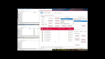 Roll Print 2022,  Multi printers print on same time, roll to roll software