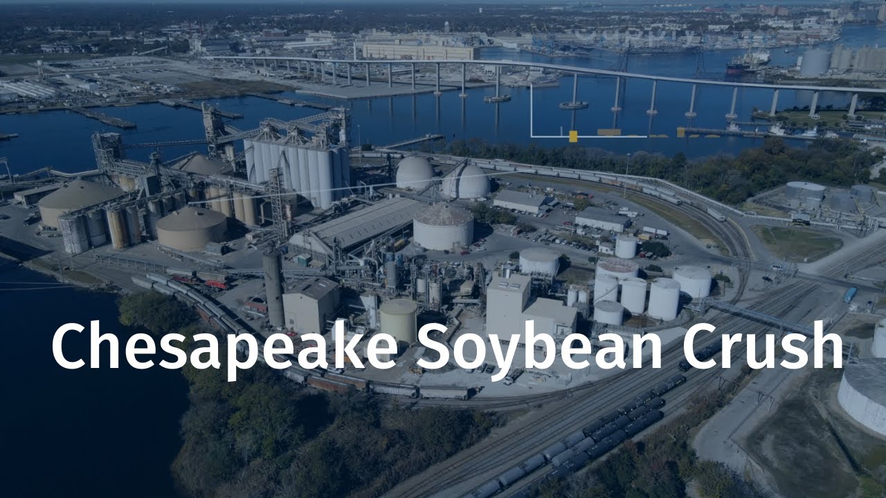 Chesapeake Soybean Processing