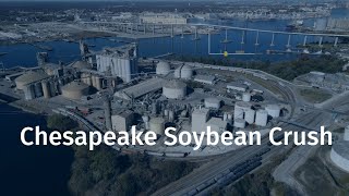 Chesapeake Soybean Processing
