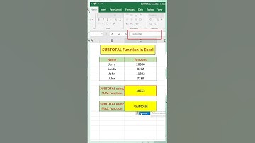 Day 23/100 | SUBTOTAL Function in Excel | Excel Function | #shorts #youtubeshorts #excel #function