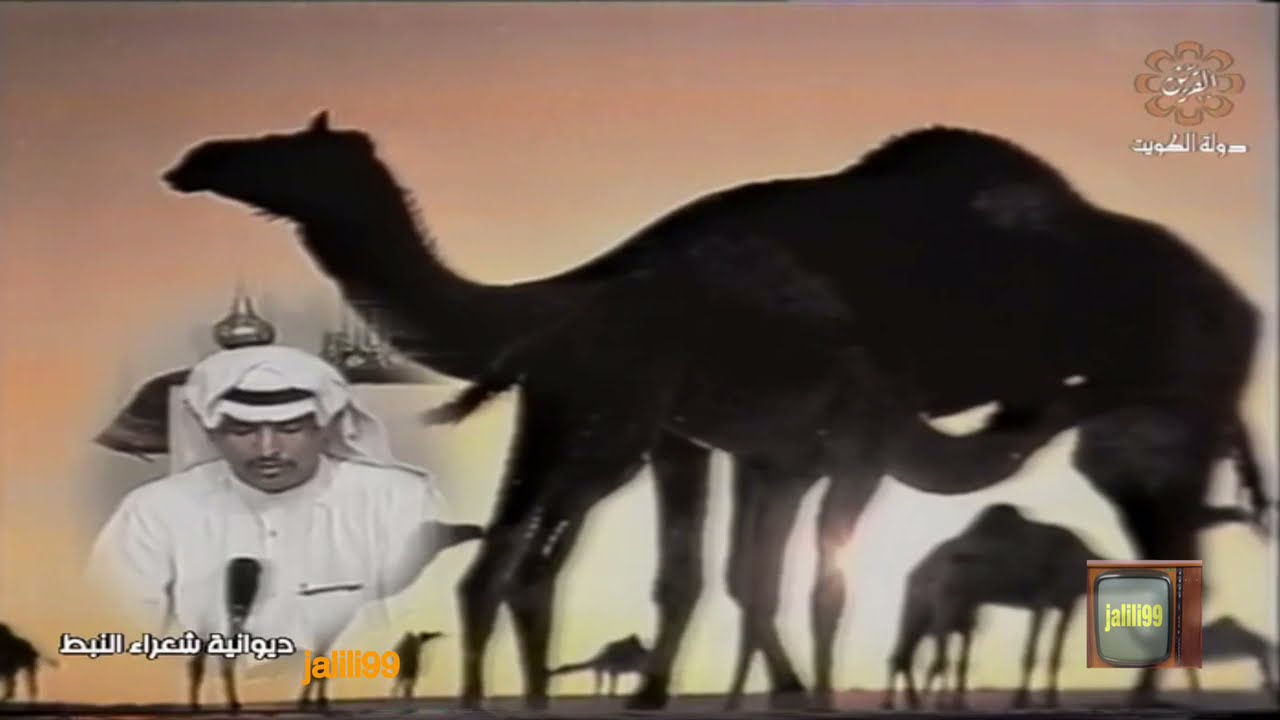 HD 🇰🇼 برنامج ديوانية شعراء النبط 46 تقديم حمد العزب والزمن الجمييل