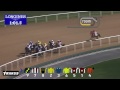 Race 4 - The Dubai Creek Mile Sponsored By Lincoln MKC