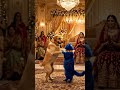 Cat and Dog Dance Together… Cutest Performance Ever! ❤️