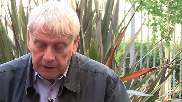 Alan Baddeley on Working Memory and Consciousness