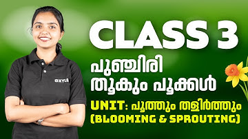 Class 3 | പുഞ്ചിരി തൂകും പൂക്കൾ - Unit: പൂത്തും തളിർത്തും | Xylem Class 3