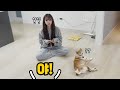 여동생과 강아지의 호칭이 같으면ㅋㅋㅋㅋㅋㅋㅋㅋㅋㅋㅋㅋㅋㅋㅋ 여동생과 강아지의 호칭이 같으면ㅋㅋㅋㅋㅋㅋㅋㅋㅋㅋㅋㅋㅋㅋㅋ