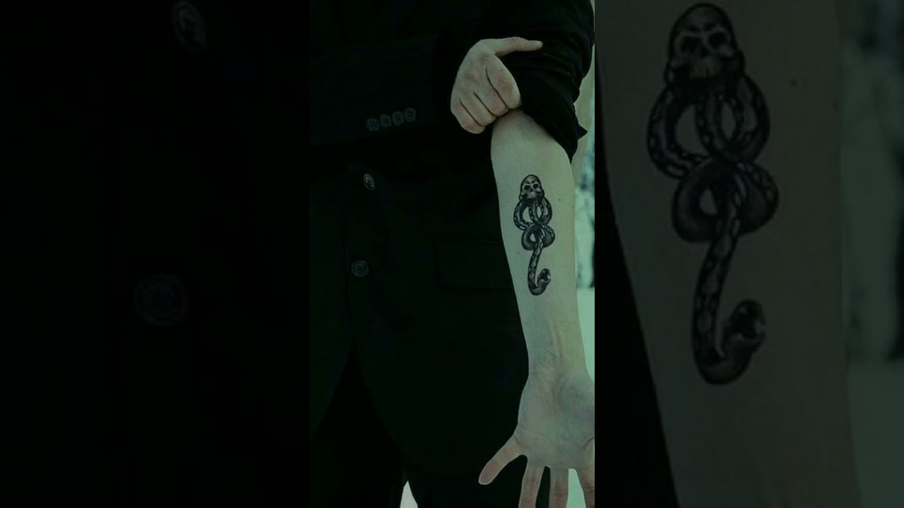 Draco Malfoy Vibes 🖤💚