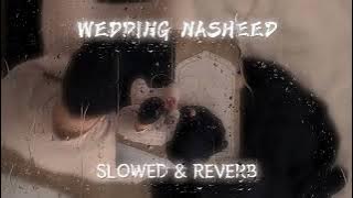 Download lagu WEDDING NASHEED ~~~BY MUHAMMAD AL MUQIT  {SLOWED & REVERB} TIKTOK VERSION...