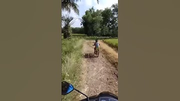 Sibolang kakak adik
