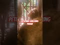 Banyak peternak Domba Pemula yang gak sadar #shorts