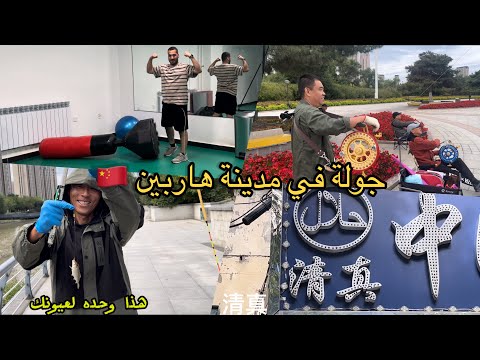 يوم من مدينة هاربين في الصين كيف تعرف اذا المطعم حلال داخل الصين