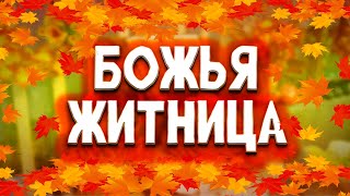 Божья ЖИТНИЦА // жатвенное служение 18.10.2025