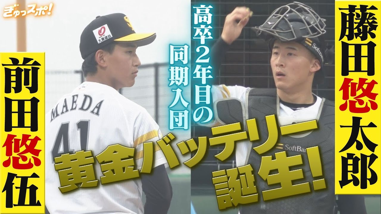 ホークス 藤田悠太郎選手 3点セット Yutaro Fujita シャツ | 福岡ソフトバンクホークス