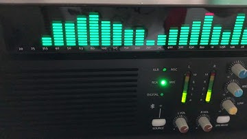 BDS PP-31 数字频谱分析显示器 SPECTRUM ANALYZER