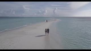 Summer 2021 (free footage)