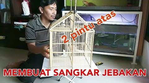 MEMBUAT SANGKAR JEBAKAN BURUNG TERMUDAH