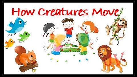how creatures move || class 3 || English || chapter 10 || Marigold book || NCERT||