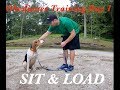 How to Teach your dog to Sit and load up How to Teach your dog to Sit and load up