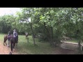 Mon cheval paco micro go pro cross le poet