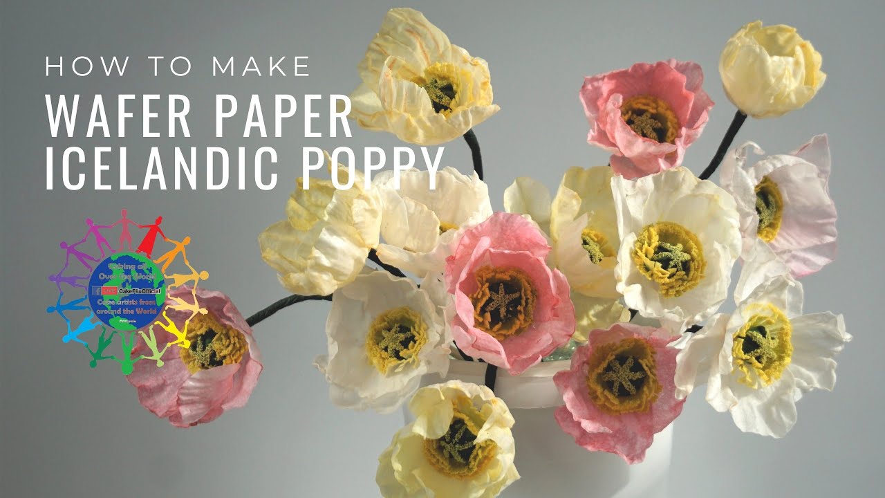 How to make pom pom flowers out of wafer paper - Akiko WhiteAkiko White