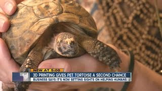 3D printing company gives pet tortoise a 2nd chance