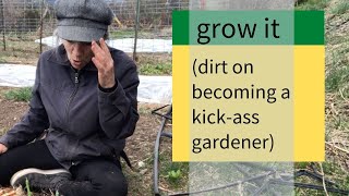 grow it session 3