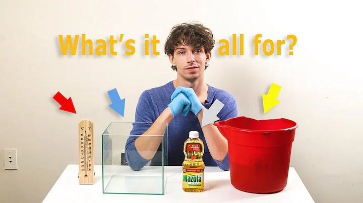 What Is That Grease Trap Really Doing??!!