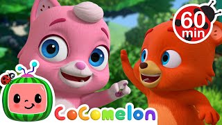 Animal High Five Song! | JJ's Animal Time | Animals for Kids | Sing Along | Learn about Animals