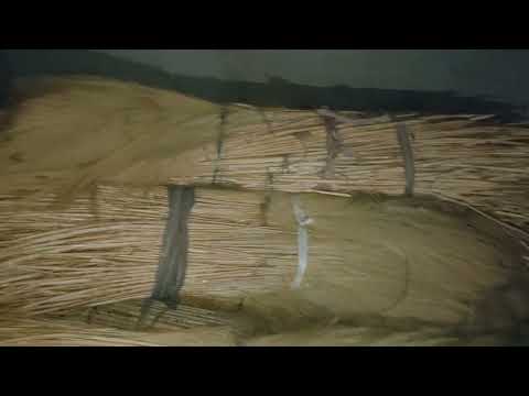వైట్ brooms గ్రాస్ kothuru...