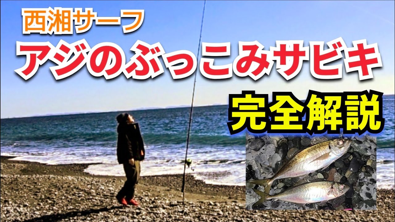 【西湘サーフ】アジのぶっこみサビキ完全解説！初心者でも釣れる仕掛けとコツを徹底説明