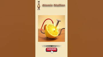 How to Make a Battery in the Apocalypse 🔋 Survival