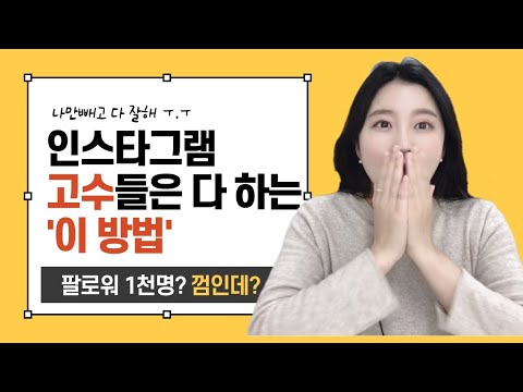 인스타그램 왕초보도 성공할 수 있는 팔로워 늘리는 컨텐츠의 비밀! 9분만에 완전정복💡